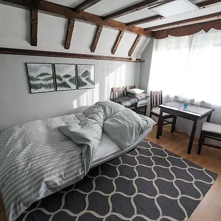 Romantisches Rückzugsnest - Waldidylle Und Bergblick Apartment Klingenthal