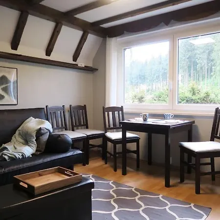 Apartment Little Fox - Ruhe Und Auszeit In Der Klingenthal