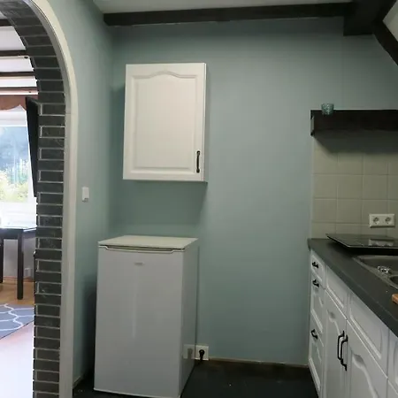 Apartment Romantisches Rückzugsnest - Waldidylle Und Bergblick Klingenthal