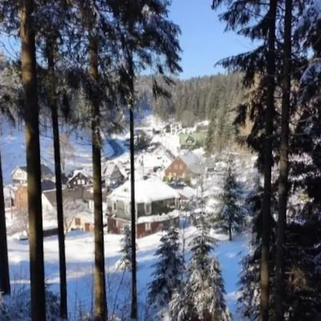 Apartment Romantisches Rückzugsnest - Waldidylle Und Bergblick Klingenthal