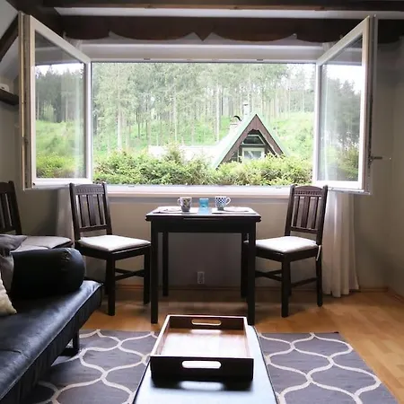 Romantisches Rückzugsnest - Waldidylle Und Bergblick Apartment Klingenthal